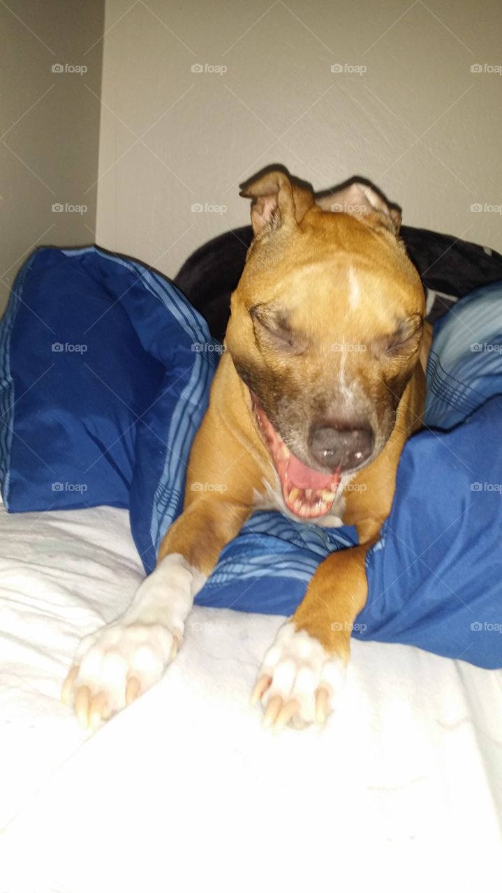 I can't believe she listened to me