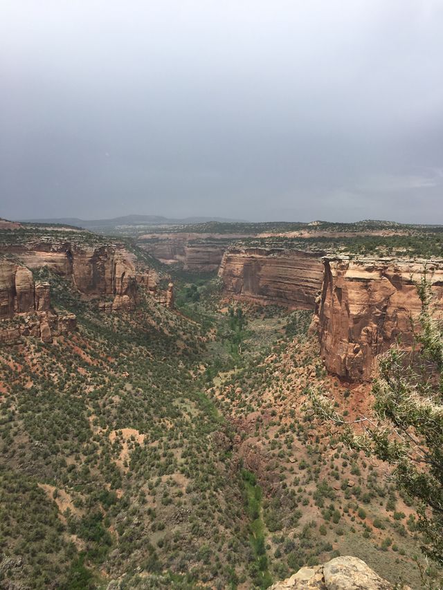 Canyon views
Colorado national monument