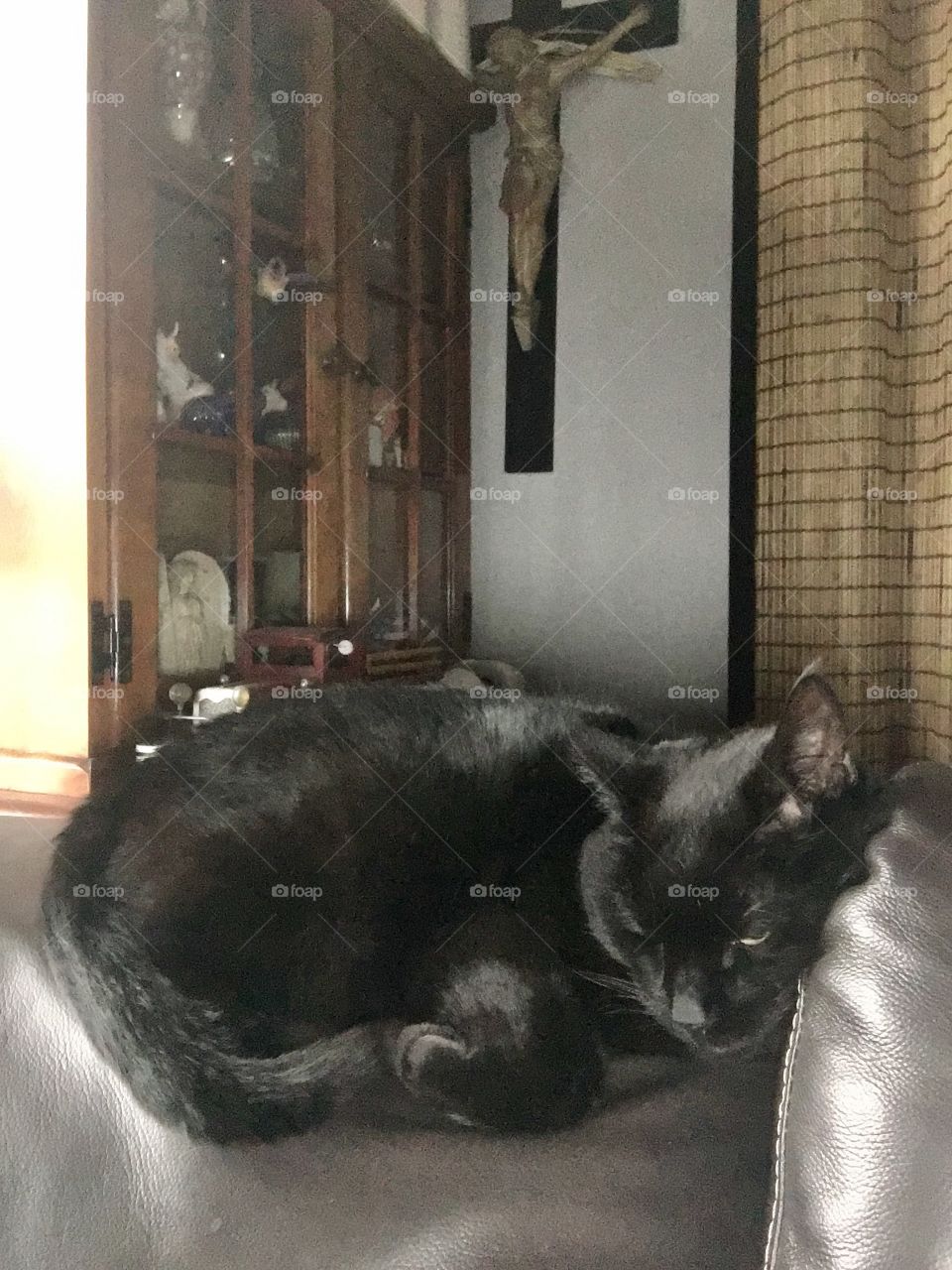 Black cat sleeping on back of couch in window light.