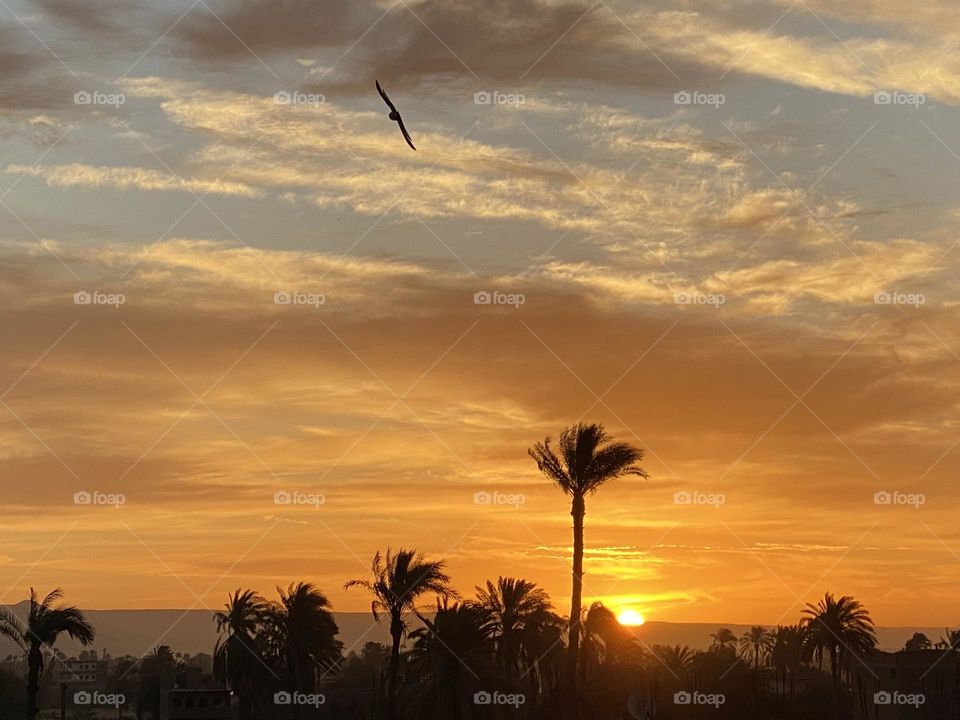 The sunrise from my hometown 