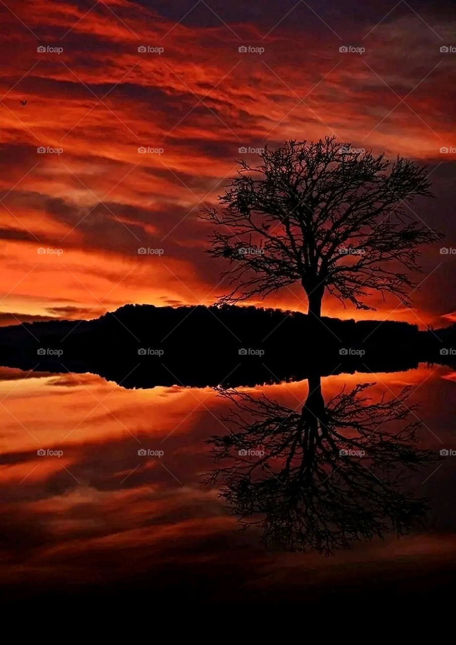 A very beautiful picture, and there is no better picture than it. There is no better picture of green herbs and colorful, red and white roses than it. Glory be to God, the natural and picturesque view, and there is no more