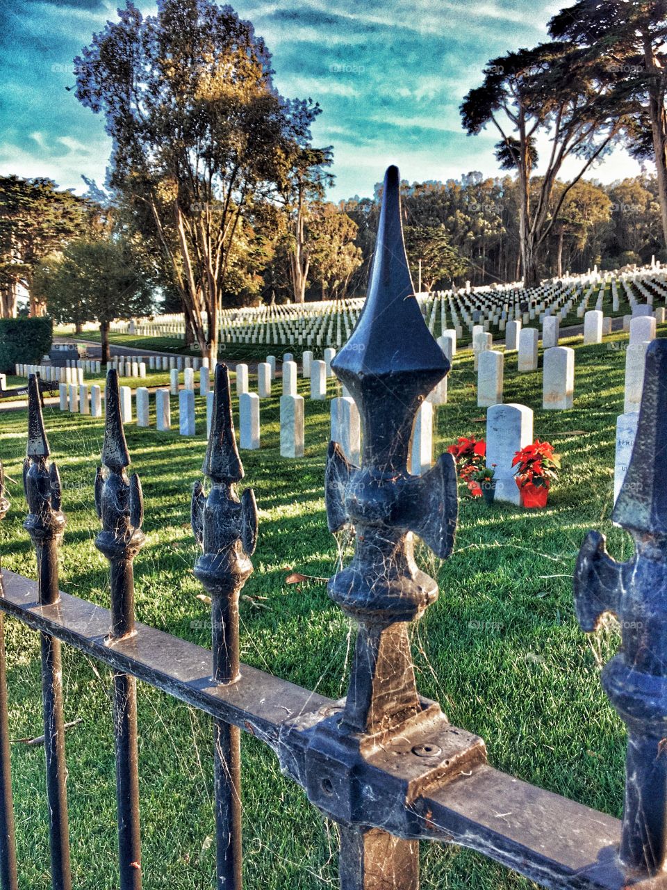 Metallic gate of cemetery