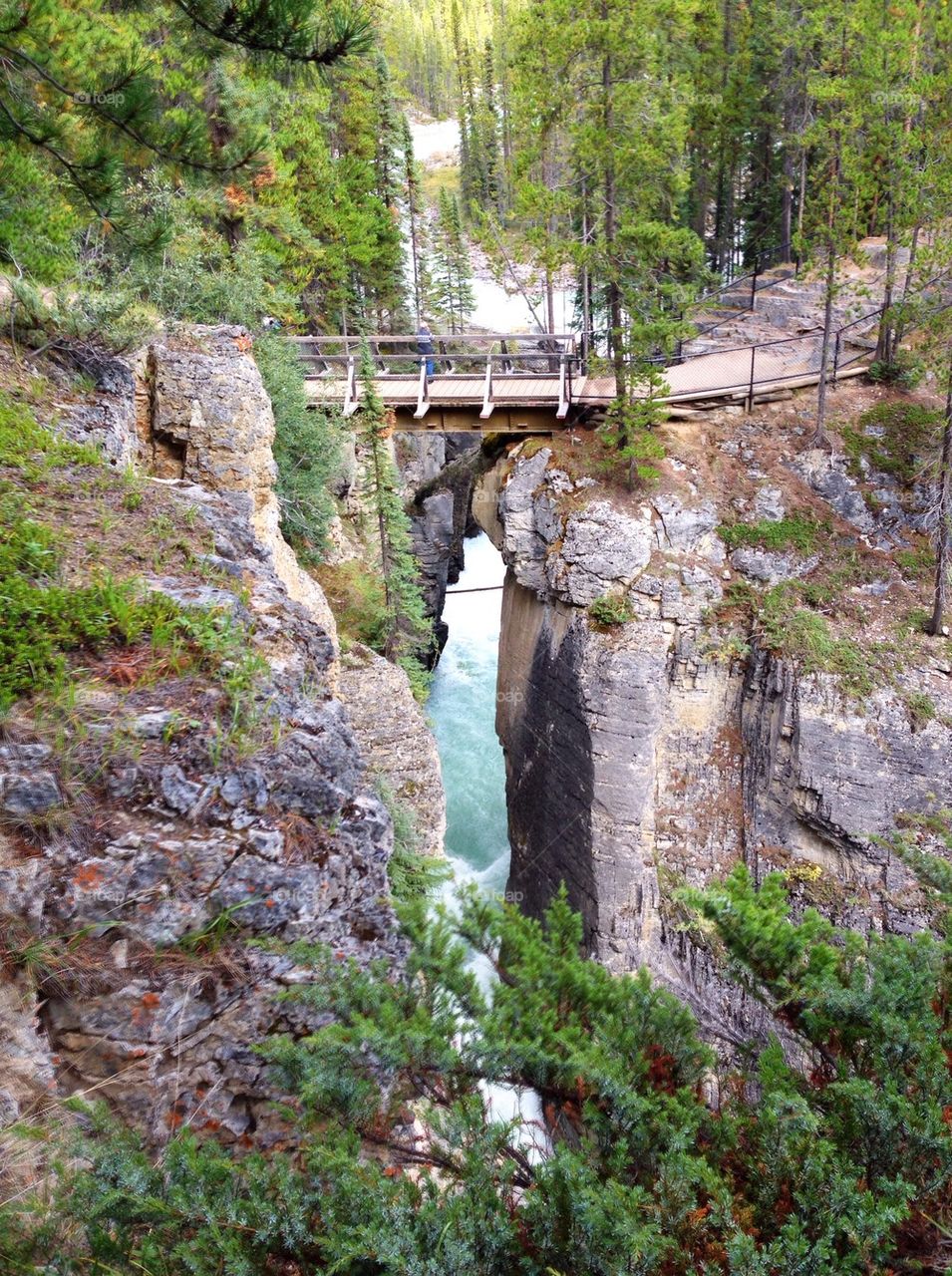 Bridge over the river