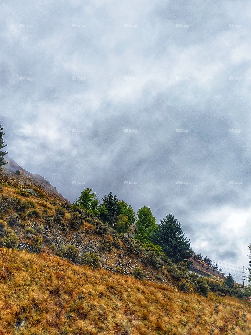 beautiful mountain-side with sage and trees