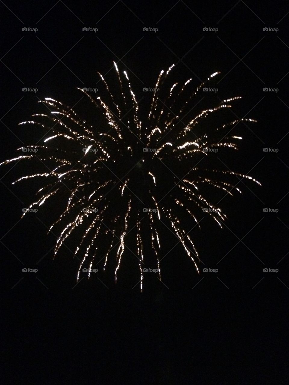 A firework exploding