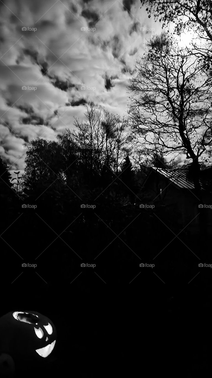 Pumpkin lantern in the moonlight