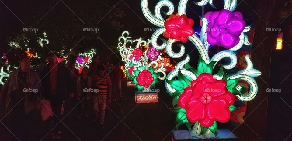 ILLUMINATION of  Lights