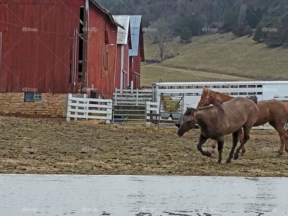 Driving the  back Roads