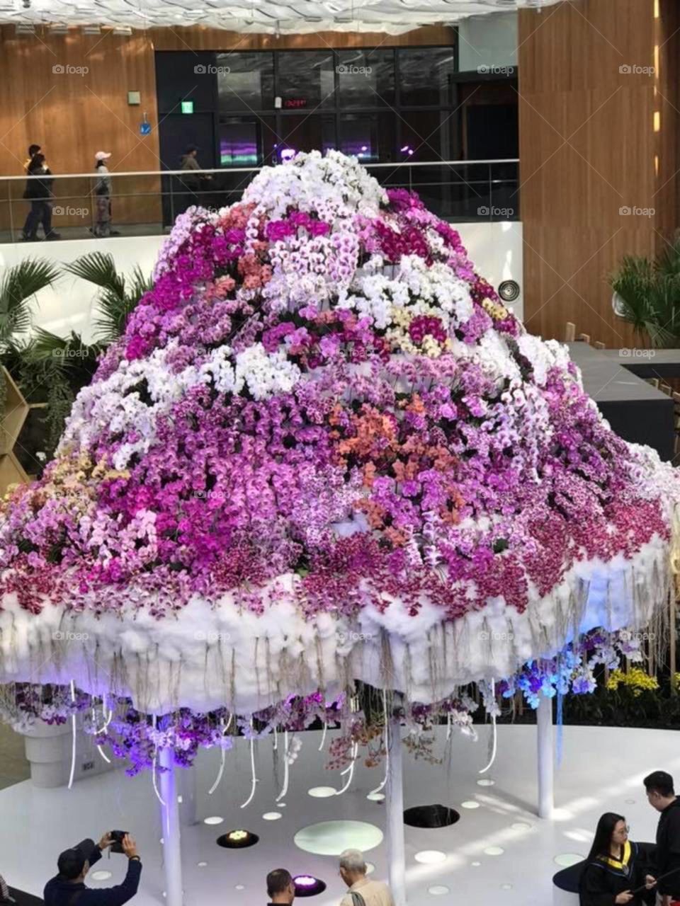 flowers Expo