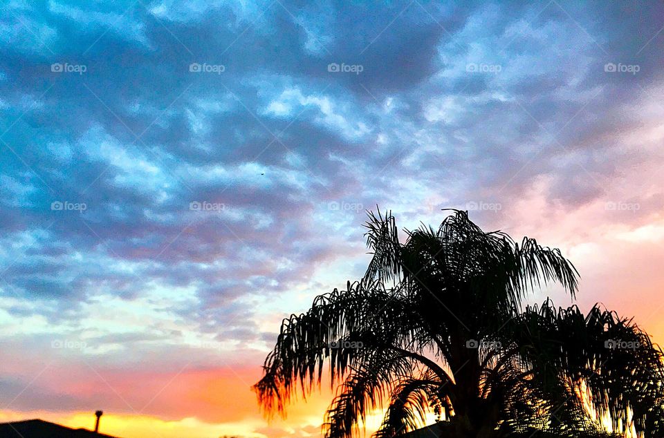 Palm tree silouette against sunset clouds dramatic lit up purple, grey, yellow, red, pink, and blue