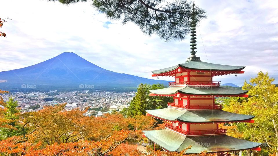 Beautiful mount Fuji in the fall