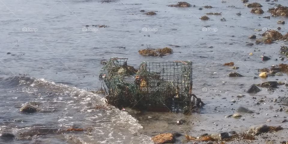 lobster trap