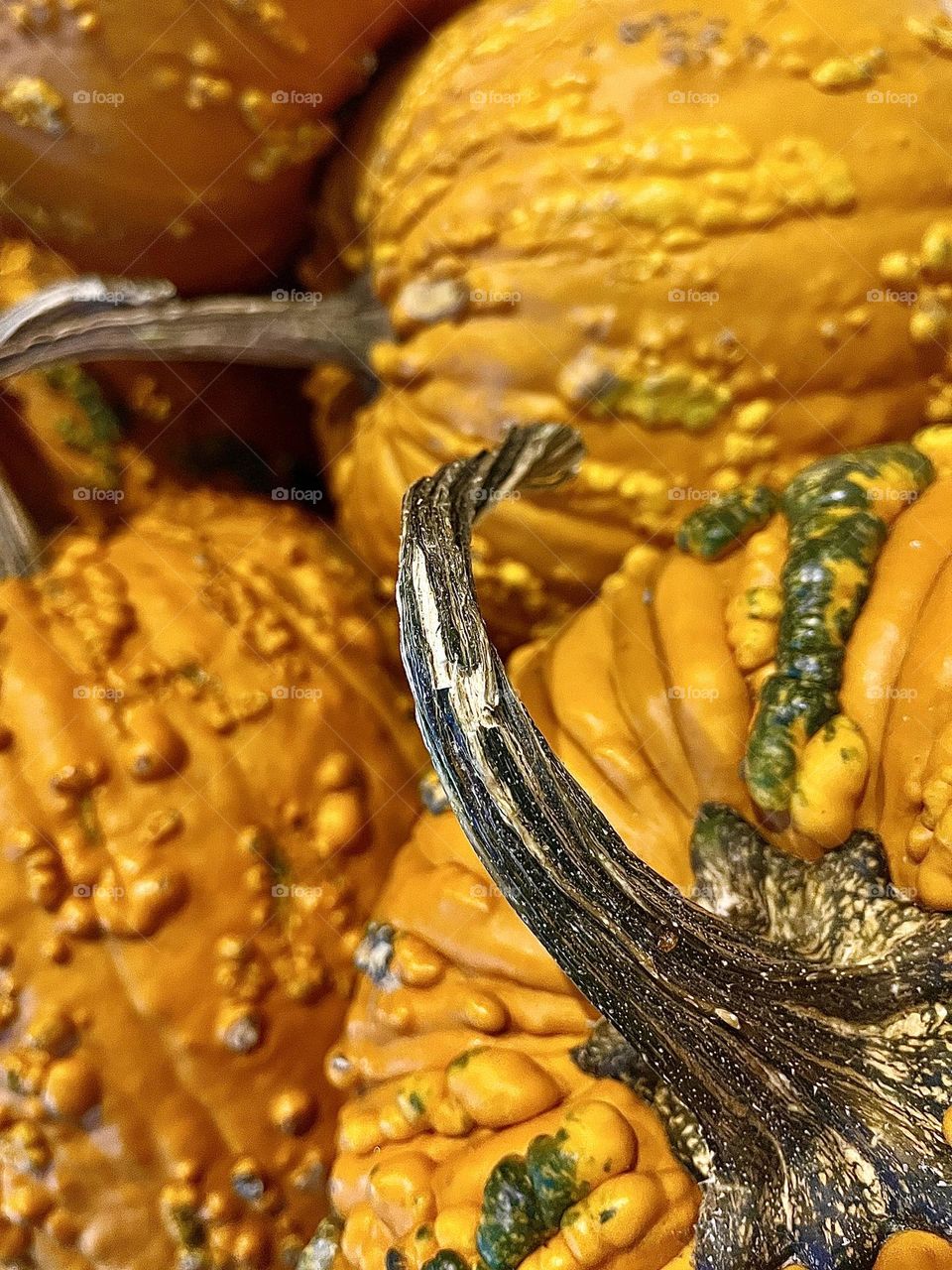 Knucklehead Pumpkins