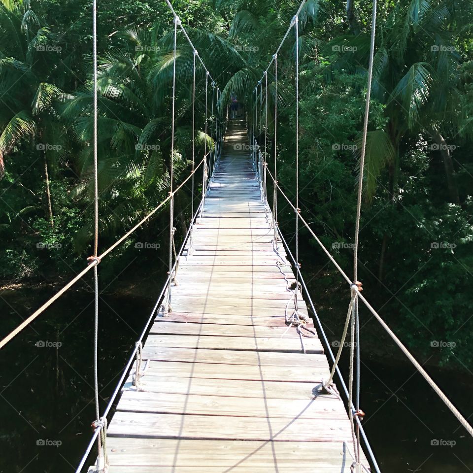 Suspended rope bridge