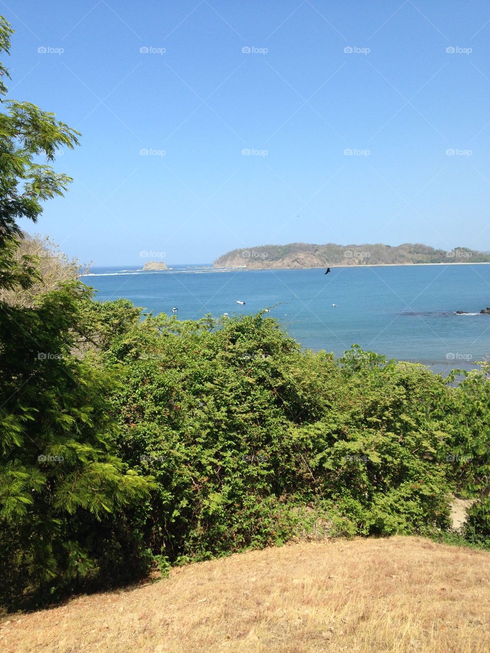 Costa Rica Ocean View