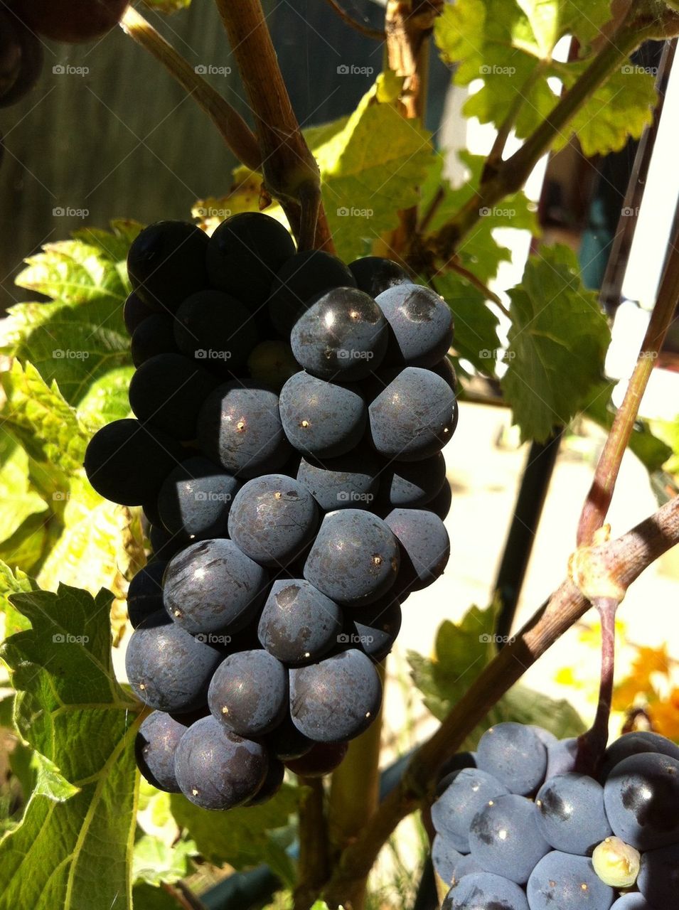 They are getting bigger