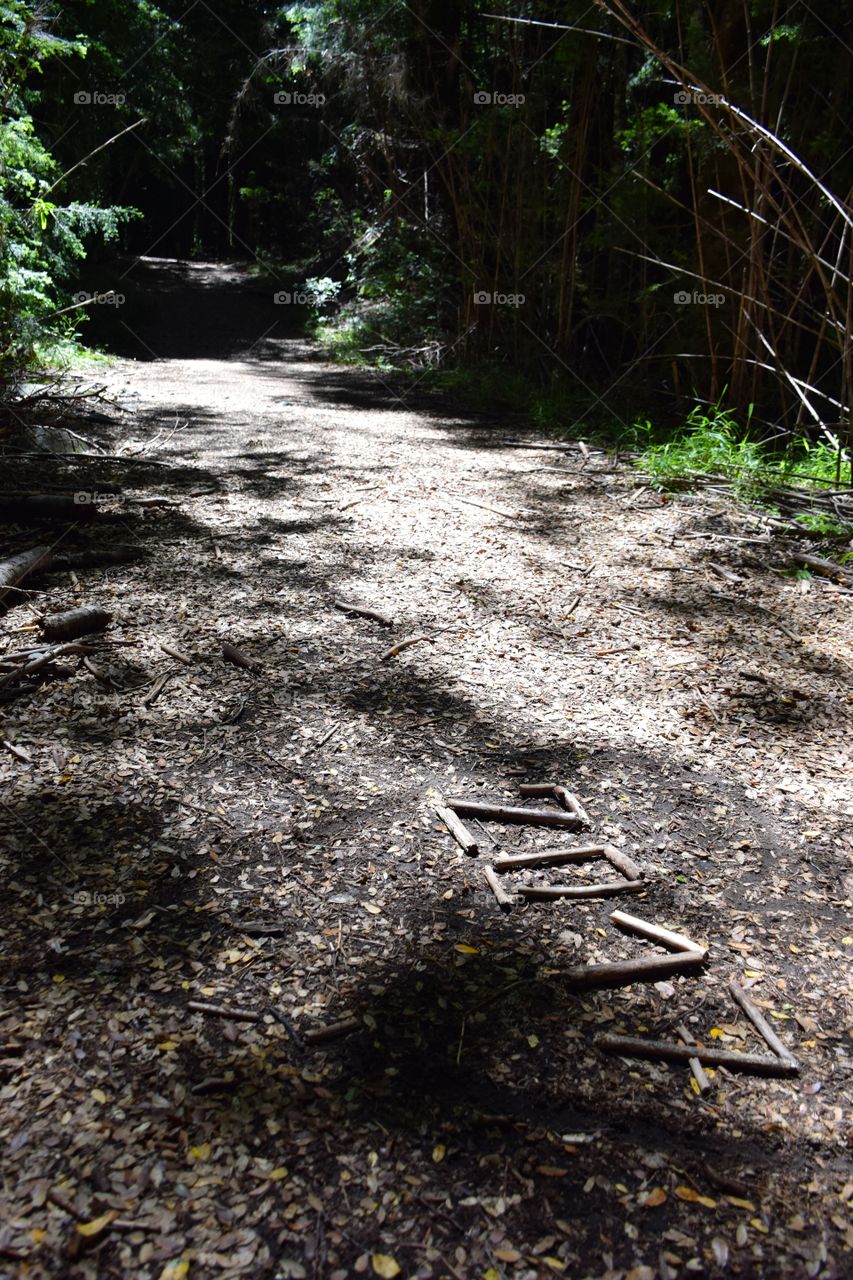 2017 written with Wood sticks