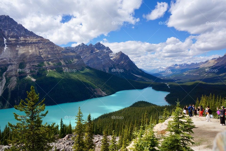 Peyto lake in Banff, Canada