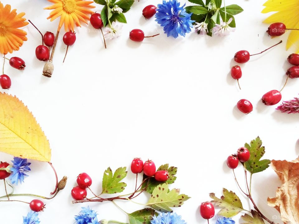 colorful  background