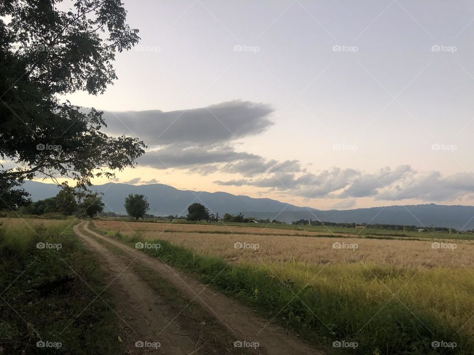 Enjoying sunset at rural side.