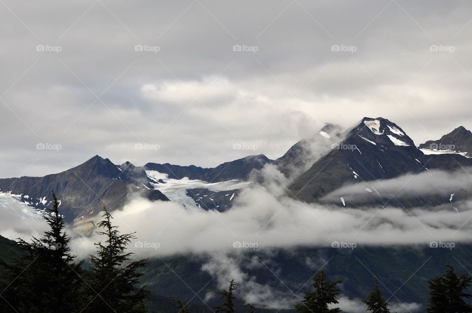 Foggy Alaska