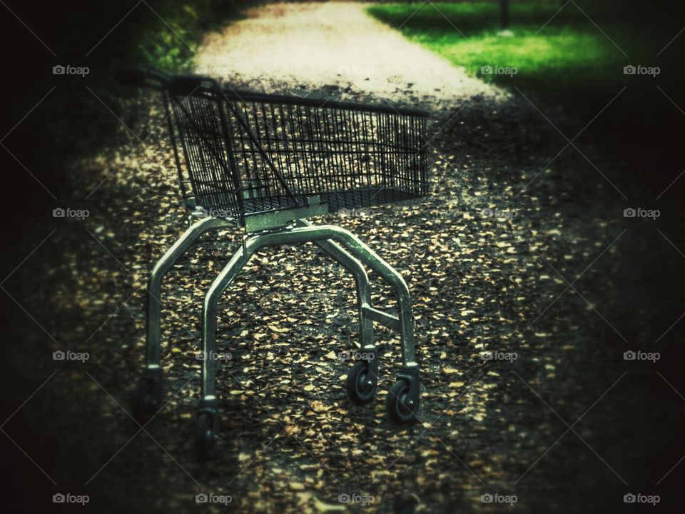 Cart