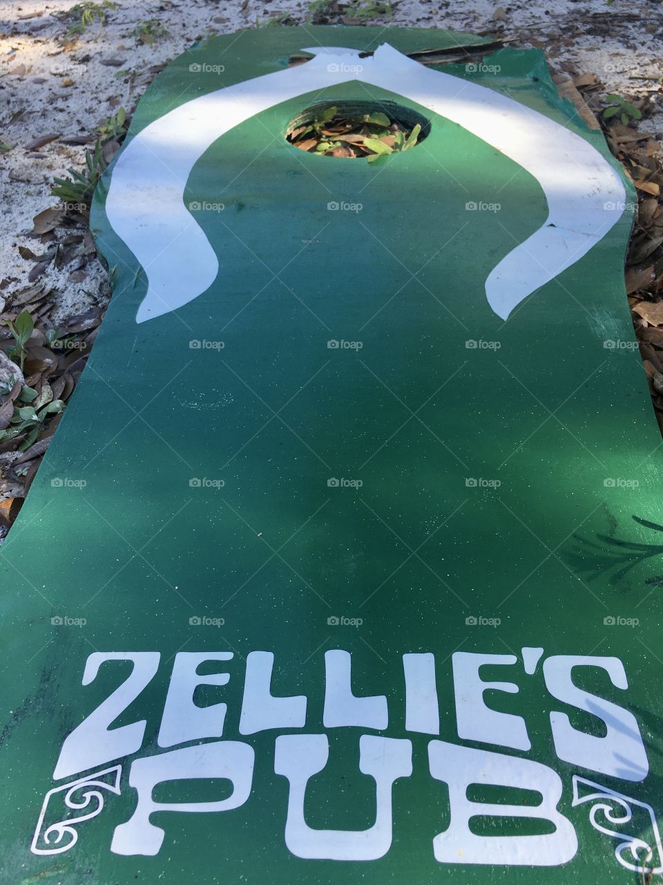 Water, Nature, No Person, Fish, Swimming