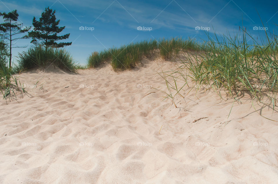 Sand, Beach, Summer, Dune, Seashore