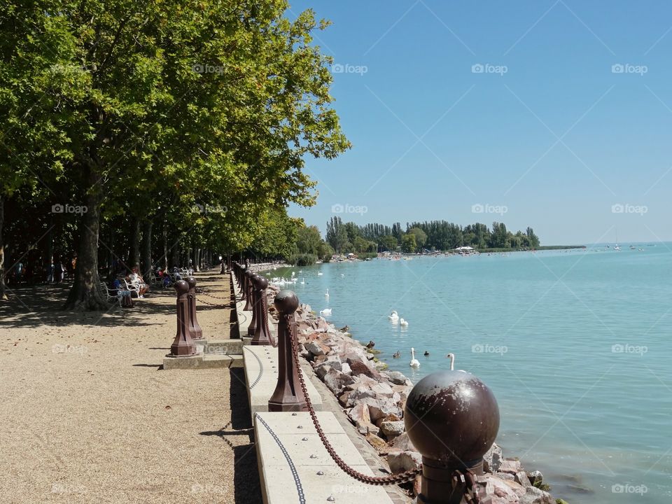 Walking at the lake