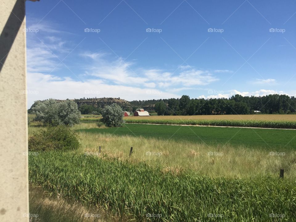 No Person, Agriculture, Landscape, Grass, Field