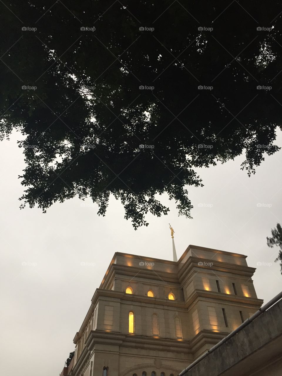 The Church Of Jesus Christ of Latter-Day Saints Holy Temple in Hong Kong China. Angel Moroni facing East, in The East. Culturally Known as The Mormon Church Worship Place. Copyright Chelsea Merkley Photography 2019. 