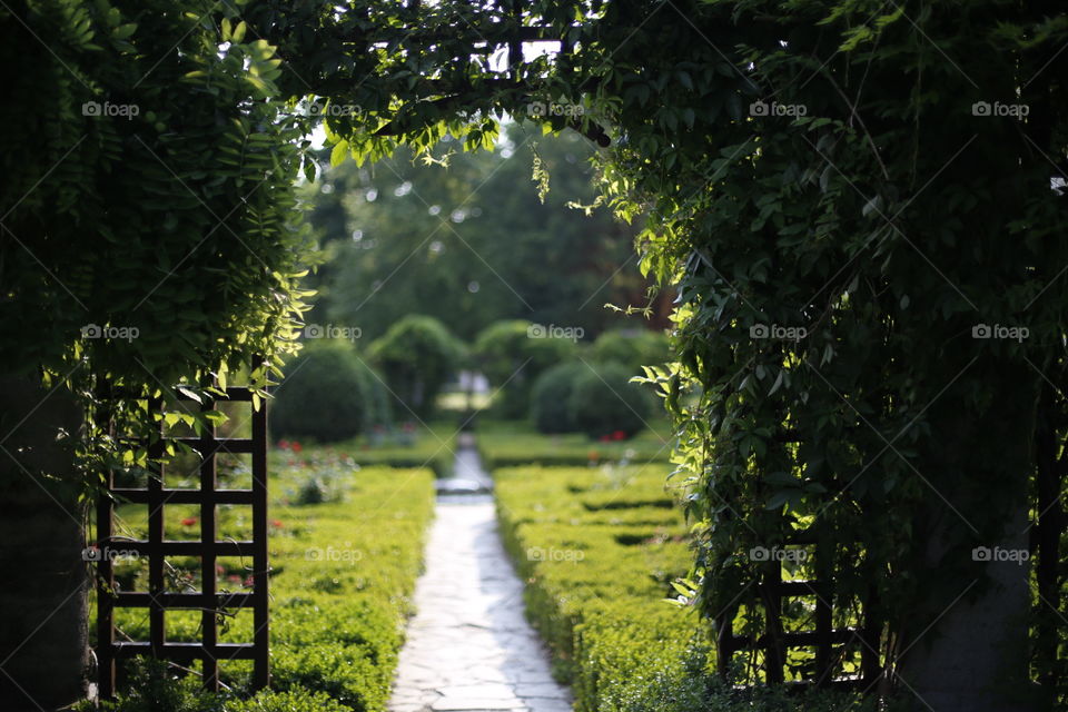 the green garden of szidonia castle