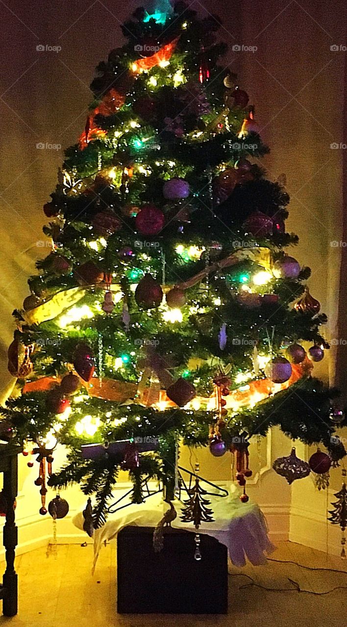 Christmas tree 2019 