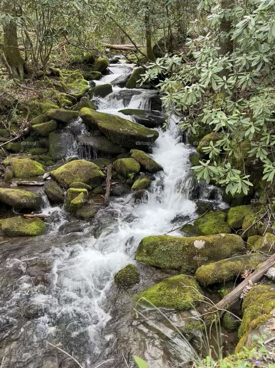 Nature at its best to give peace and tranquility to the world