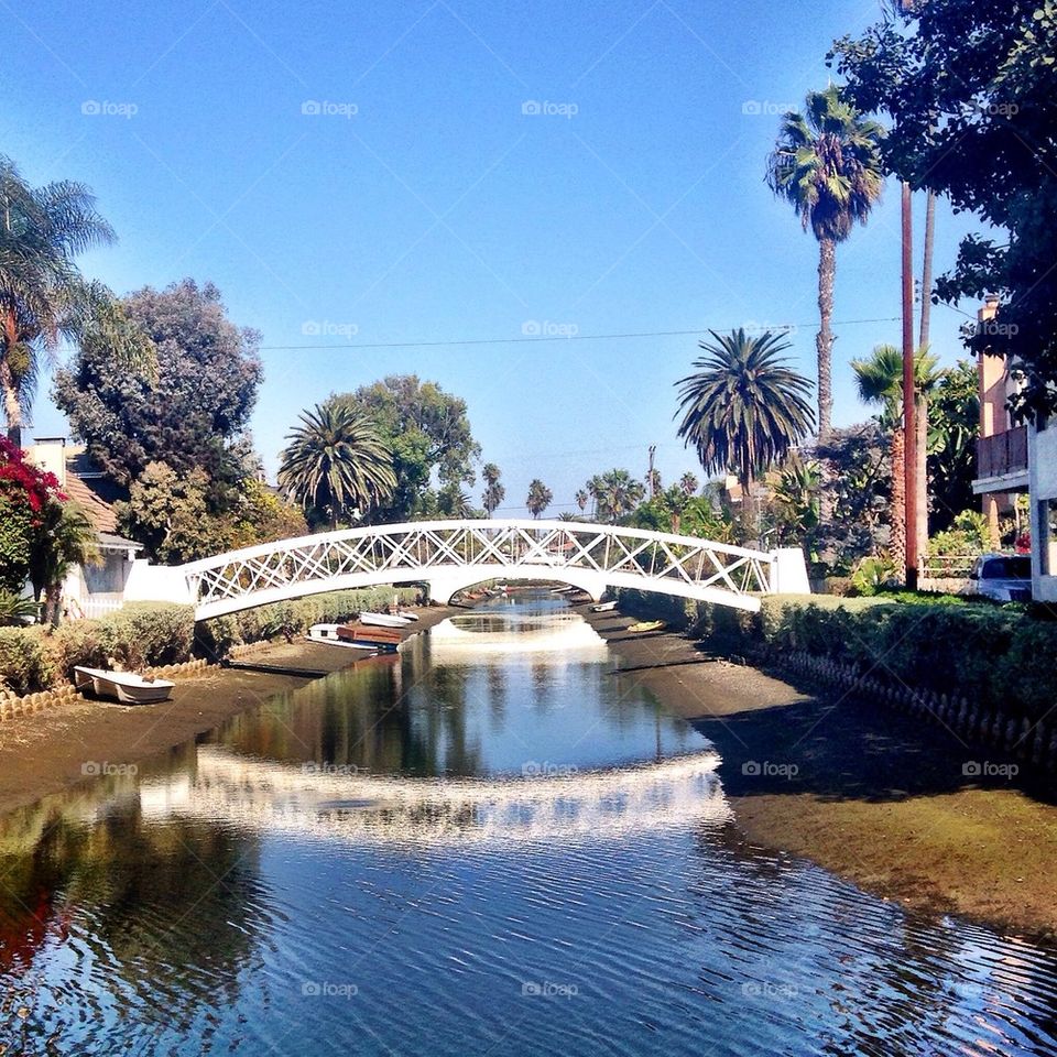Venice canals
