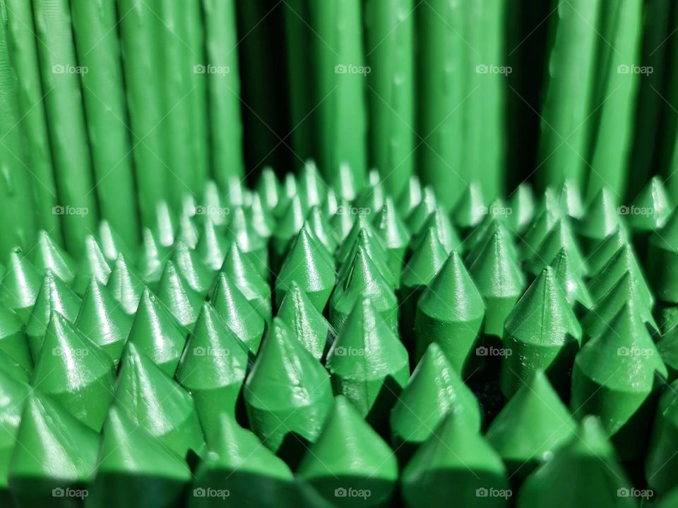 Close up of the spikes of green sharp symmetrical sticks