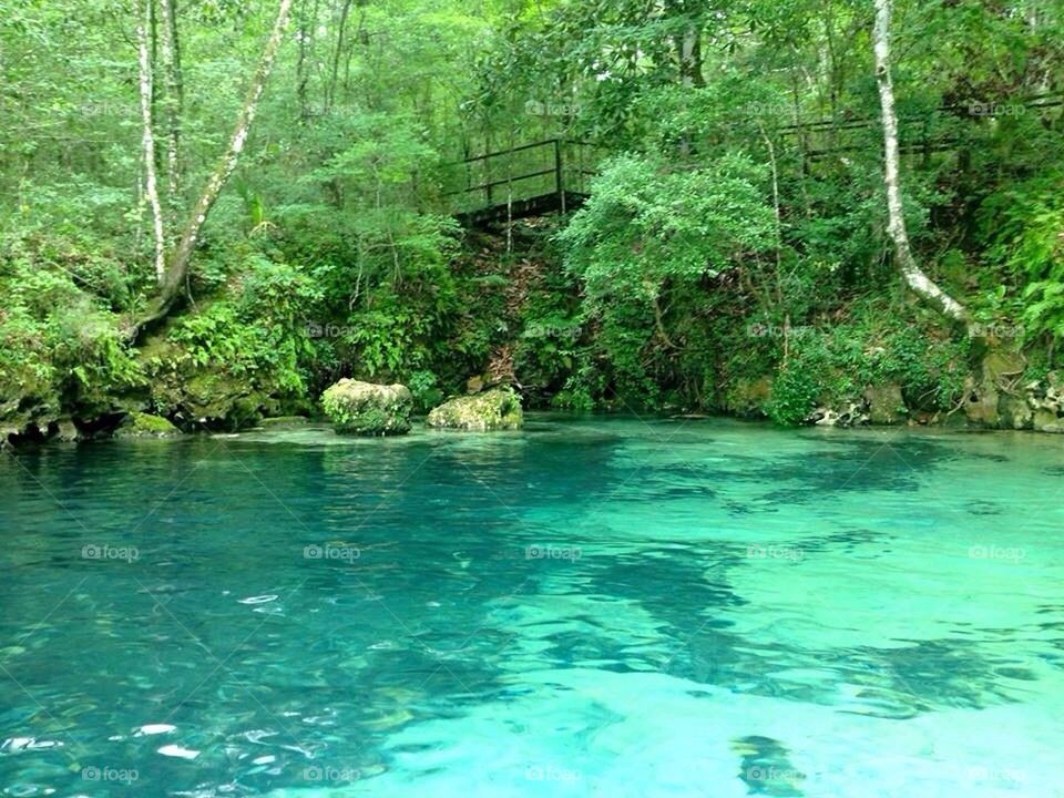 Natural Spring River