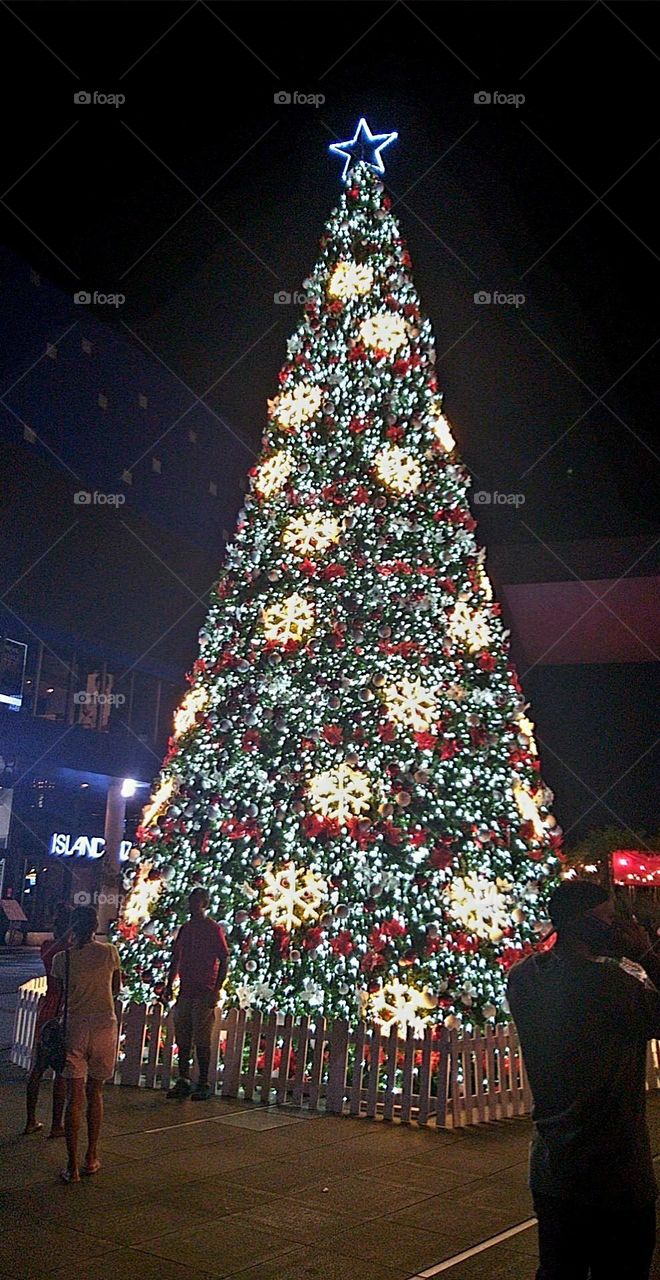 Christmas Tree at night. #luminoustree