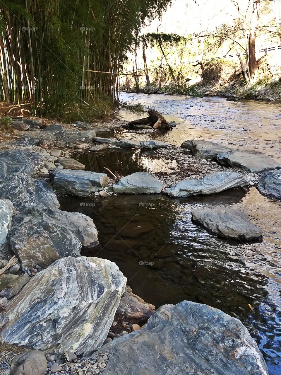 Bamboo River