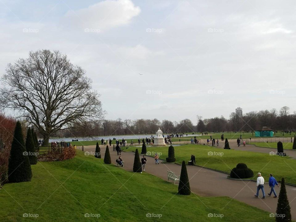 Golf, Landscape, Tree, Cemetery, Grass