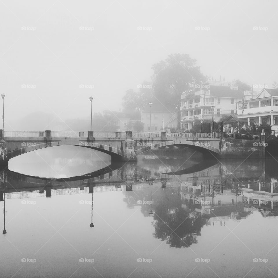 reflections on a foggy day