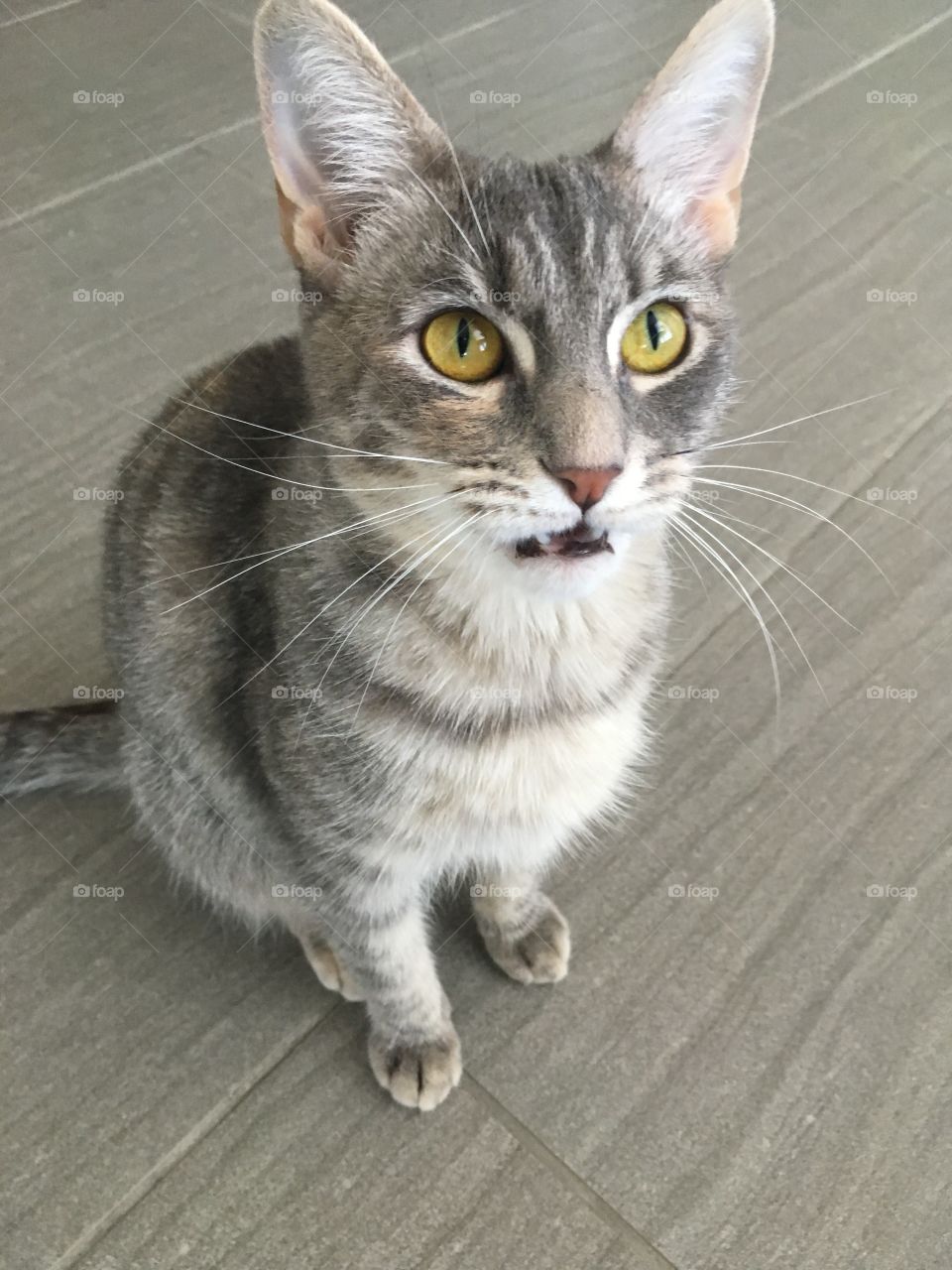 She has a lot to say