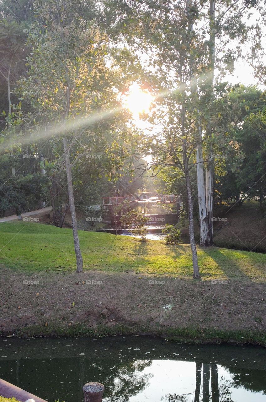 Indaiatuba Ecological Park