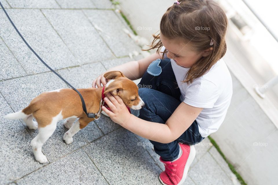 walking the dog down the street, the owner walks the weakling, teaches her, cleans up after her, educates, plays with his pet. people and dogs are best friends