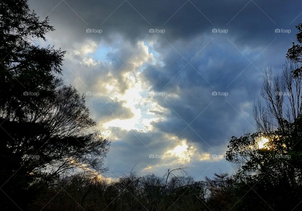 Nature Makes a Frame