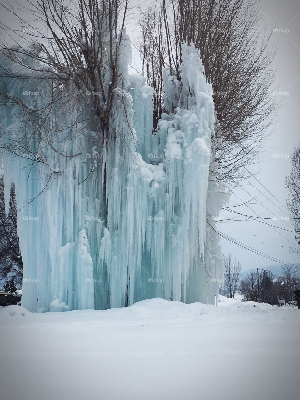 Icicle Tree