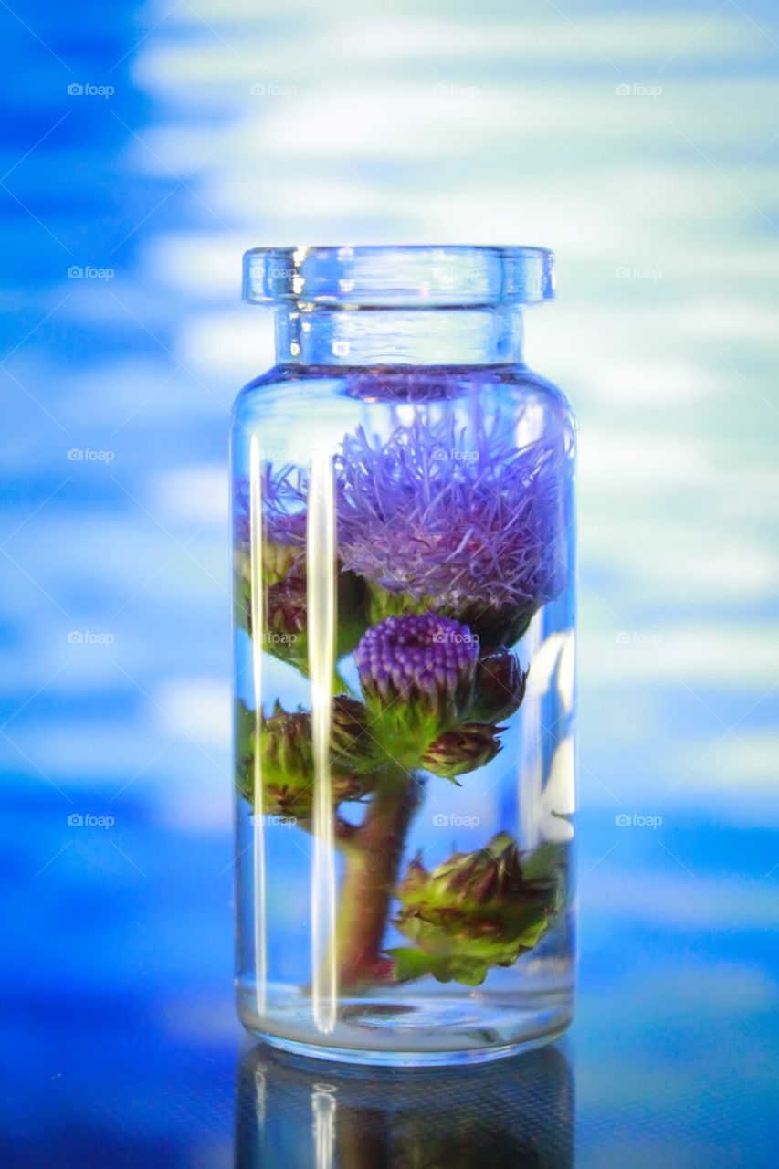 Flower in a bottle