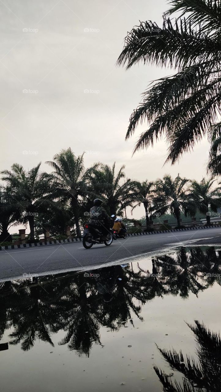 motor melintas di Proliman Kediri