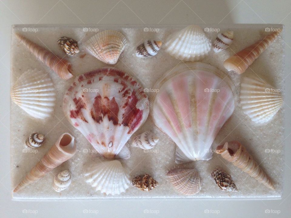 Shells