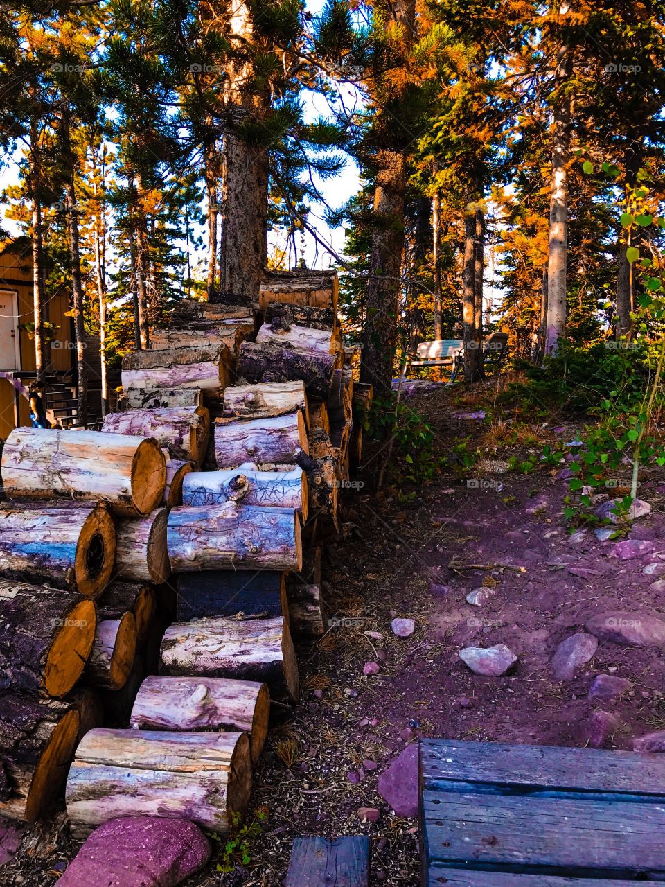 Wood pile